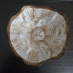 Blown Glass Tree Ring Bowl